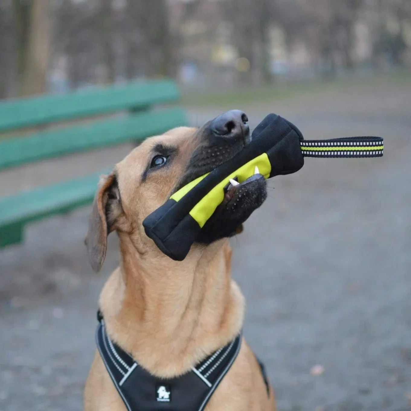 Truelove Dog Training Retrieve - Food Storage Reusable Bags reseña y precio